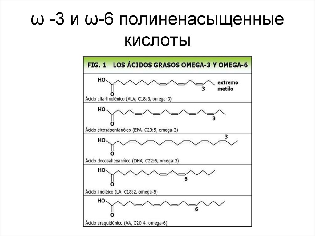 Источники 6 жирных кислот ответ на тест. Полиненасыщенные жирные кислоты w-3 w-6. Полиненасыщенные жирные кислоты формулы. Полиненасыщенные жирные кислоты классификация. Незаменимые полиненасыщенные жирные кислоты формулы.