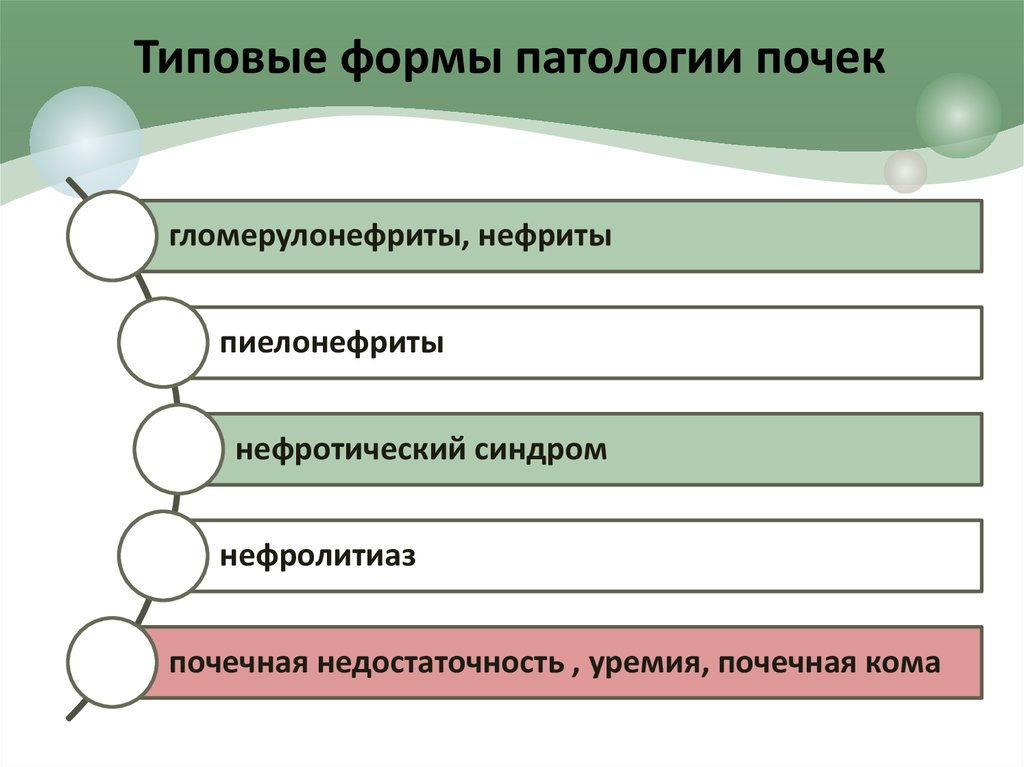 Формы патологии. К типовым формам патологии почек относятся. Типовые формы патологии почек: общий патогенез,.