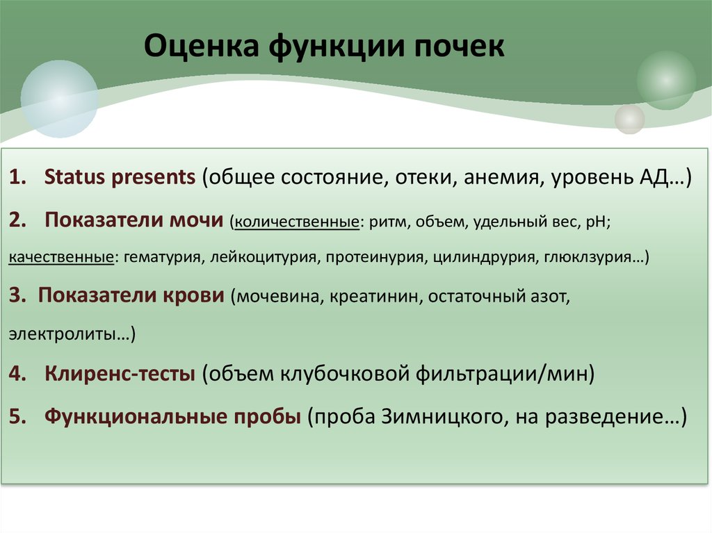 Патология почек. Оценка функции почек. Оценка почечной функции. Методы оценки функции почек. Методы оценки почечной функции.