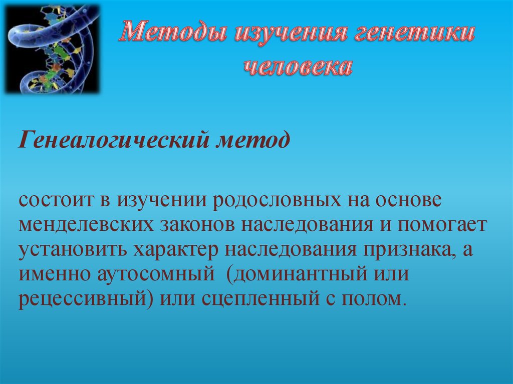 Близнецовый метод изучения наследственности человека презентация