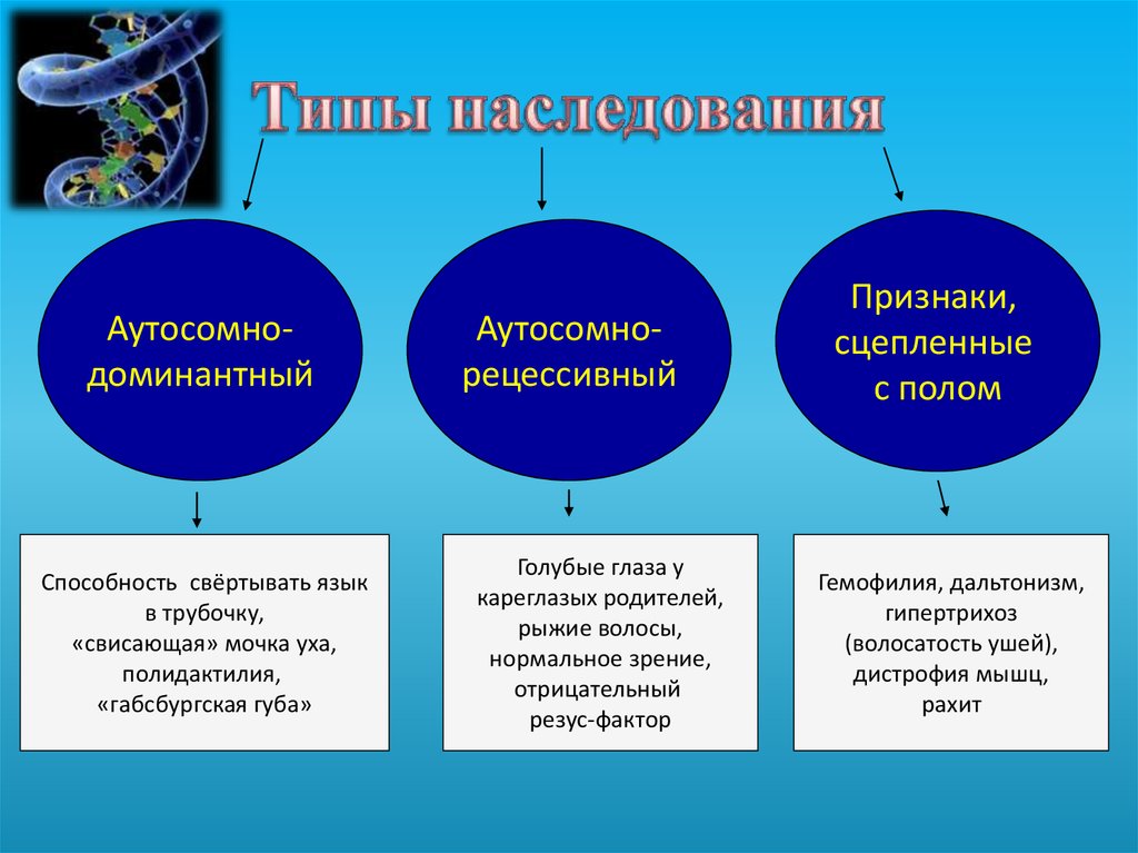 Заполните схему методы изучения генетики человека