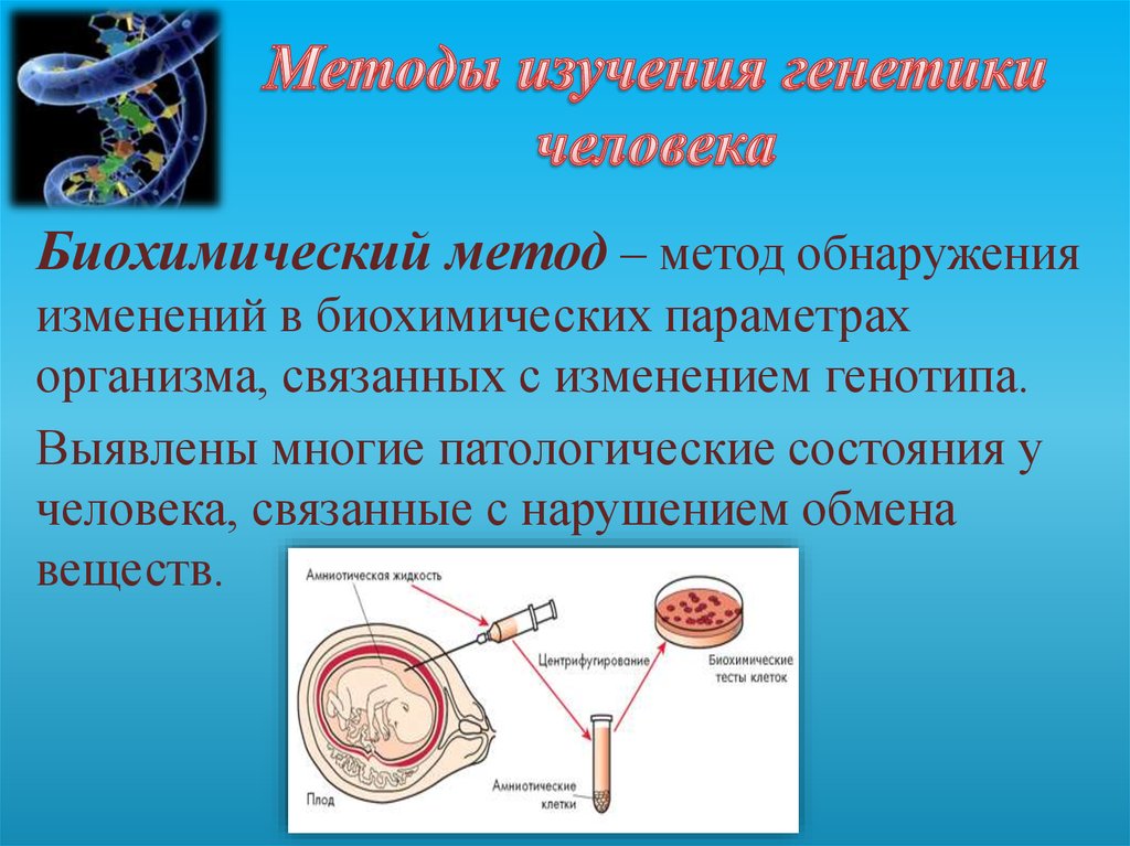 Методы человека. Биохимический метод генетика. Биохимический метод изучения наследственности. Цитогенетический метод биохимический метод. Биохимический метод исследования в генетике человека.