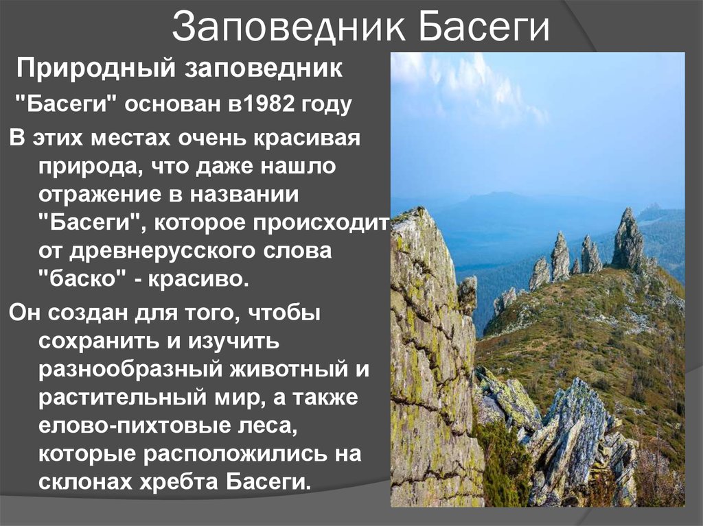 Заповедники пермского края презентация 4 класс