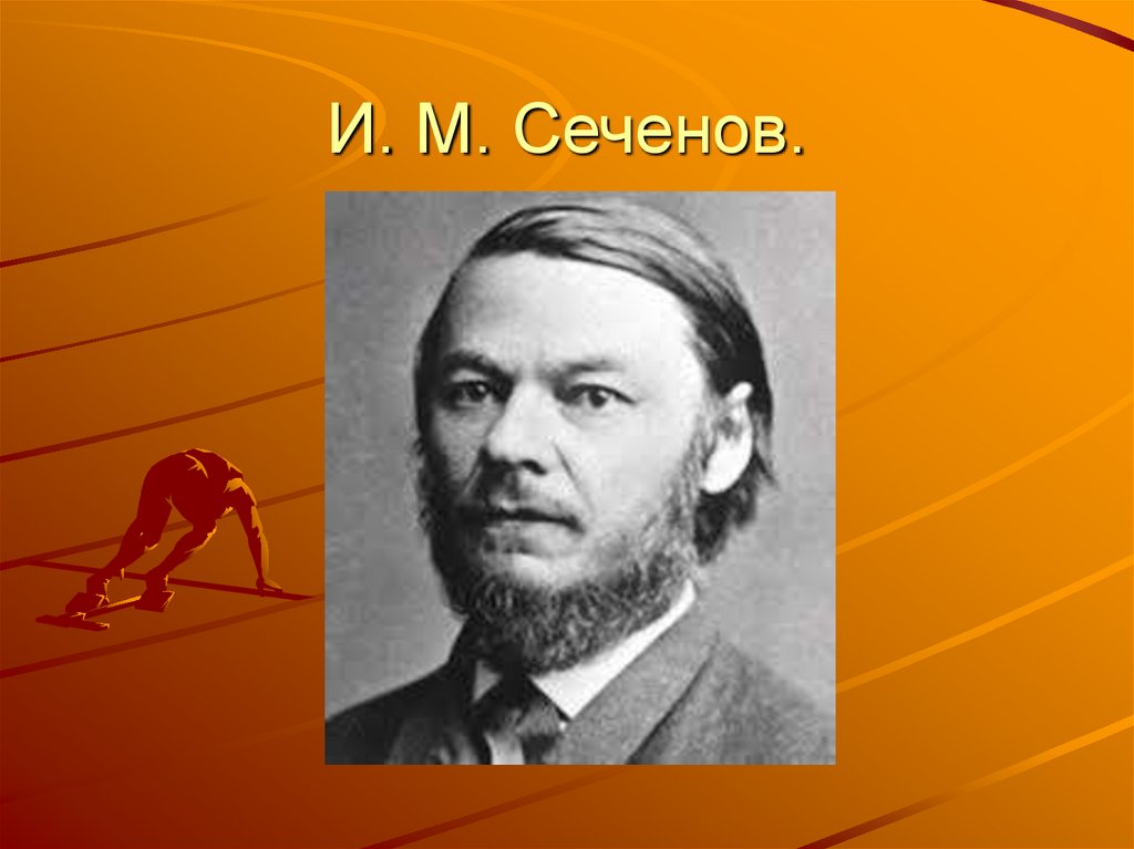 И м сеченов