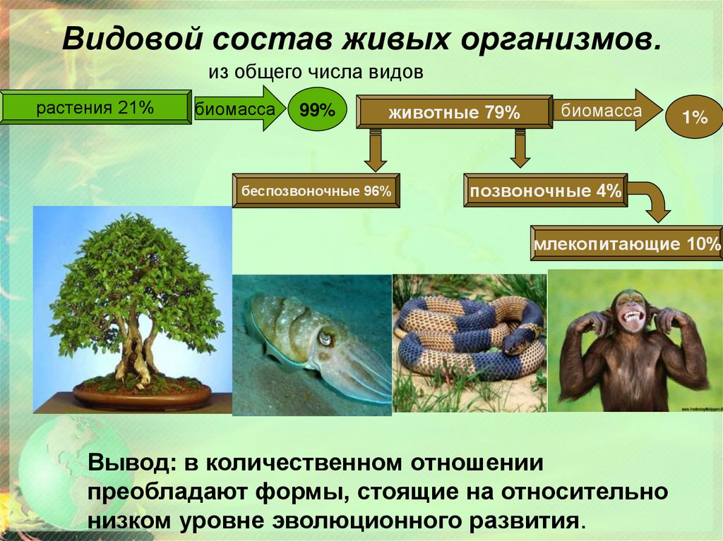 Чья биомасса в биосфере больше. Видовой состав животных. Живые организмы. Живые организмы в биосфере. Живые организмы обитающие в биосфере.
