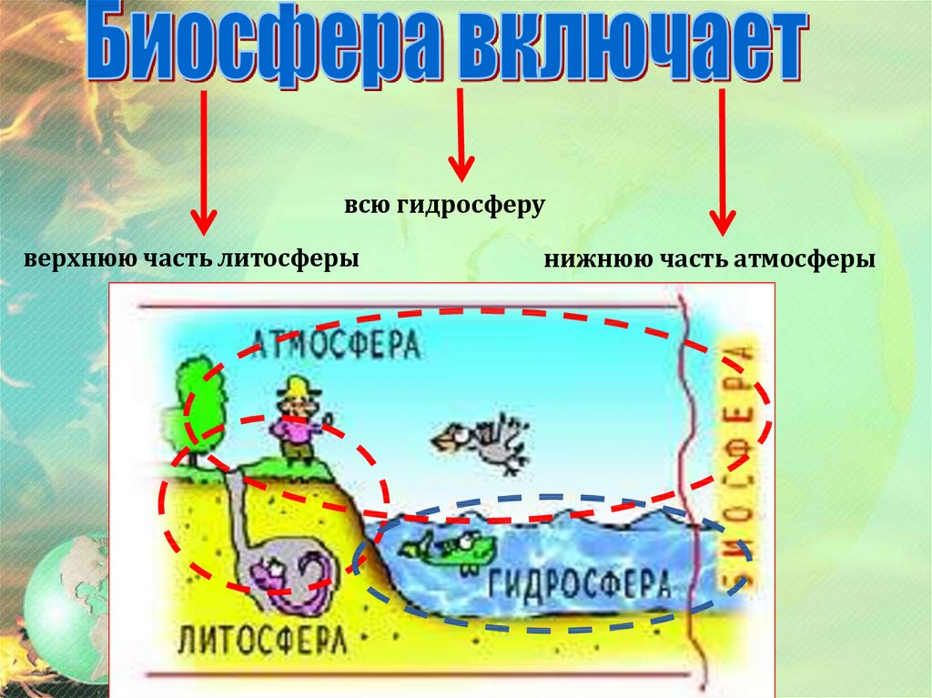 Биосфера охватывает верхнюю часть. Строение биосферы. Биосфера схема. Биосфера гидросфера. Строение биосферы рисунок.