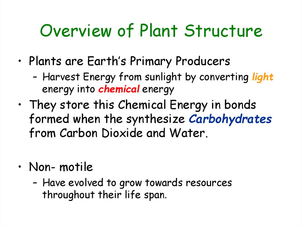 Overview of Plant Structure