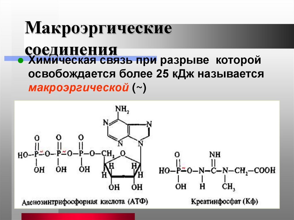 Макроэргические соединения