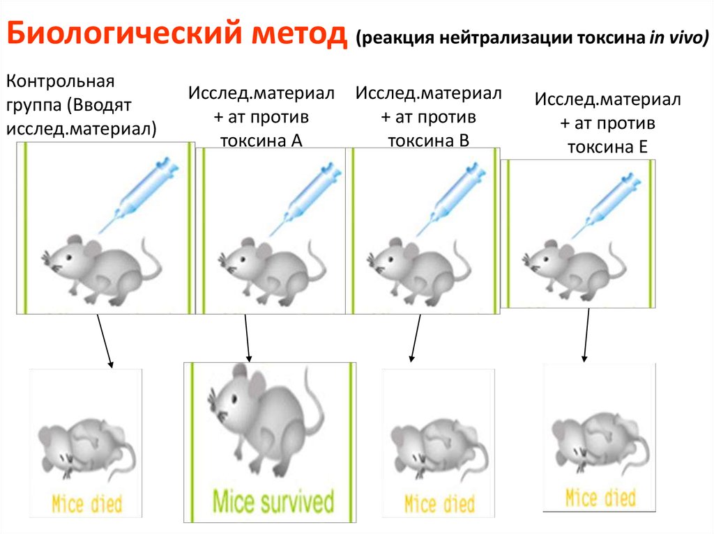 Реакция нейтрализации схема