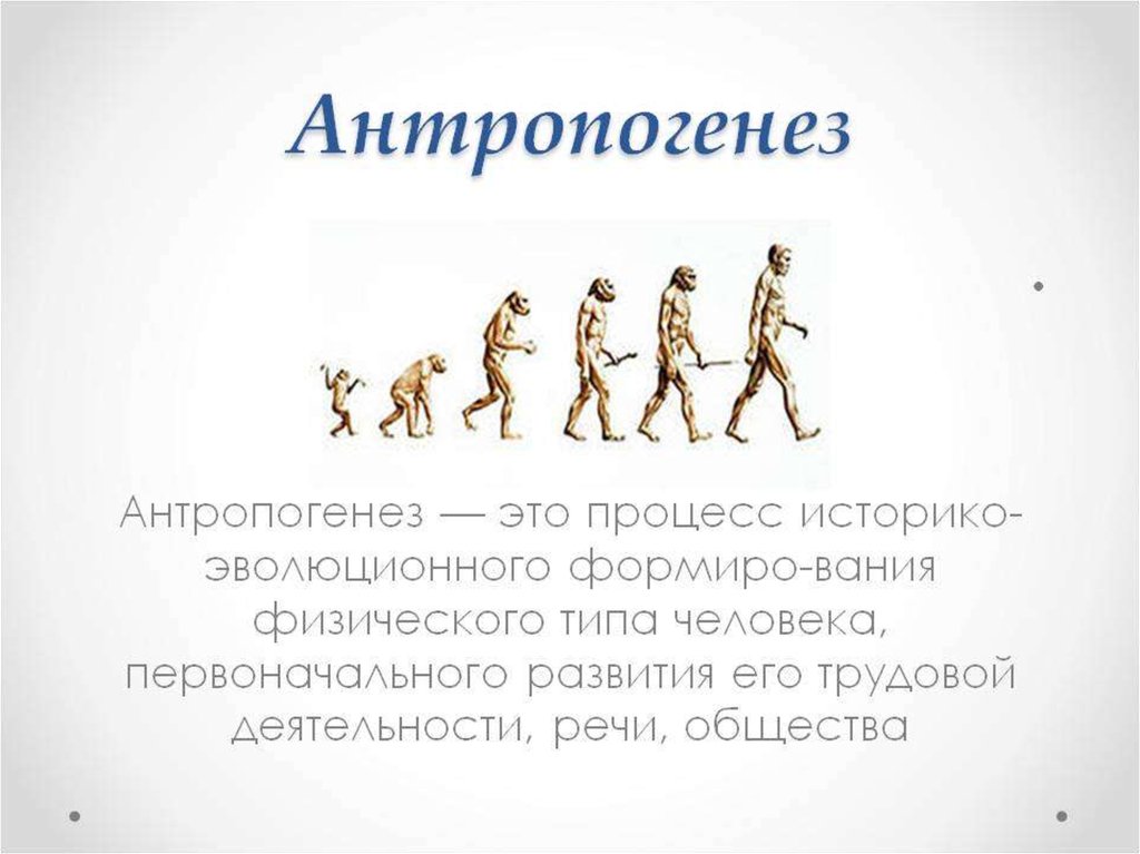 Укажите виды человека. Антропогенез это процесс историко-эволюционного. Антропогенез это в биологии 9 класс определение. Антропогенез это в истории кратко. Антропогенез презентация.