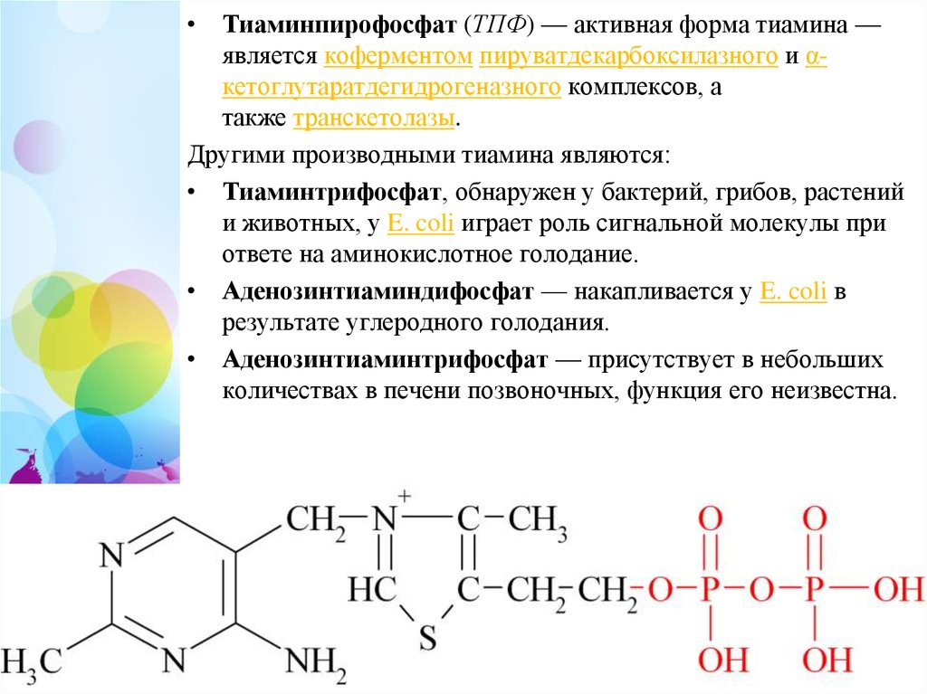 Группа б активная форма. Кофермент витамина в1. Кофермент тиамина витамина в1. Тиамин-пирофосфат. Коферментная функция. Кофермент ТПФ реакция.