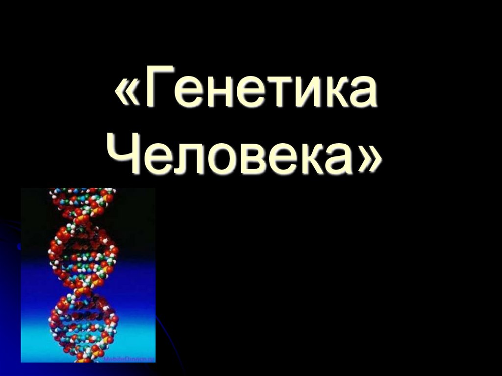 Генетика человека презентация 11 класс