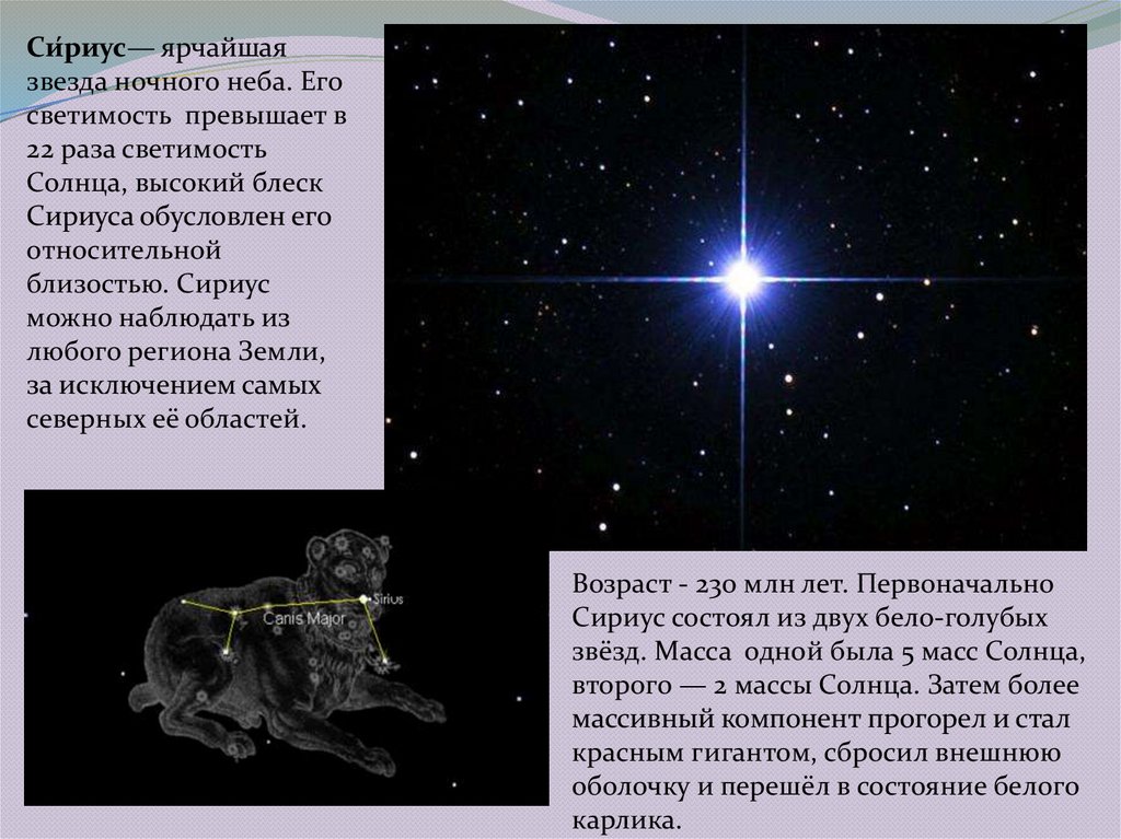 Сириус звезда какого созвездия. Доклад о звездах. Интересные факты о звездах. Интересные факты о звездах и созвездиях. Рассказ о звезде Сириус.