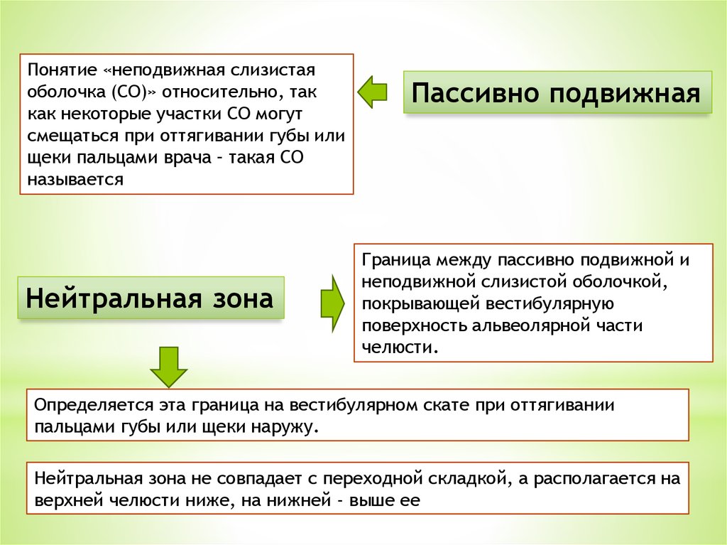 Понятие со дня. Пассивно подвижная слизистая. Подвижная и неподвижная слизистая. Активно подвижная и пассивно подвижная слизистая оболочка. Подвижная слизистая оболочка.