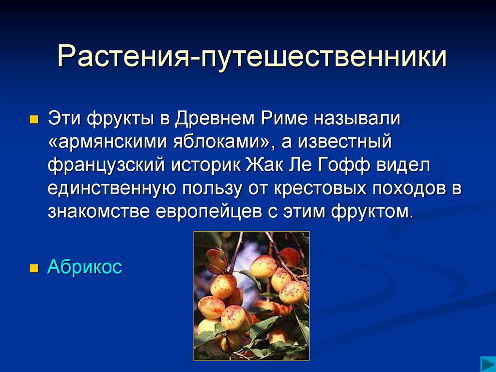 Растения путешественники 2 класс занков презентация