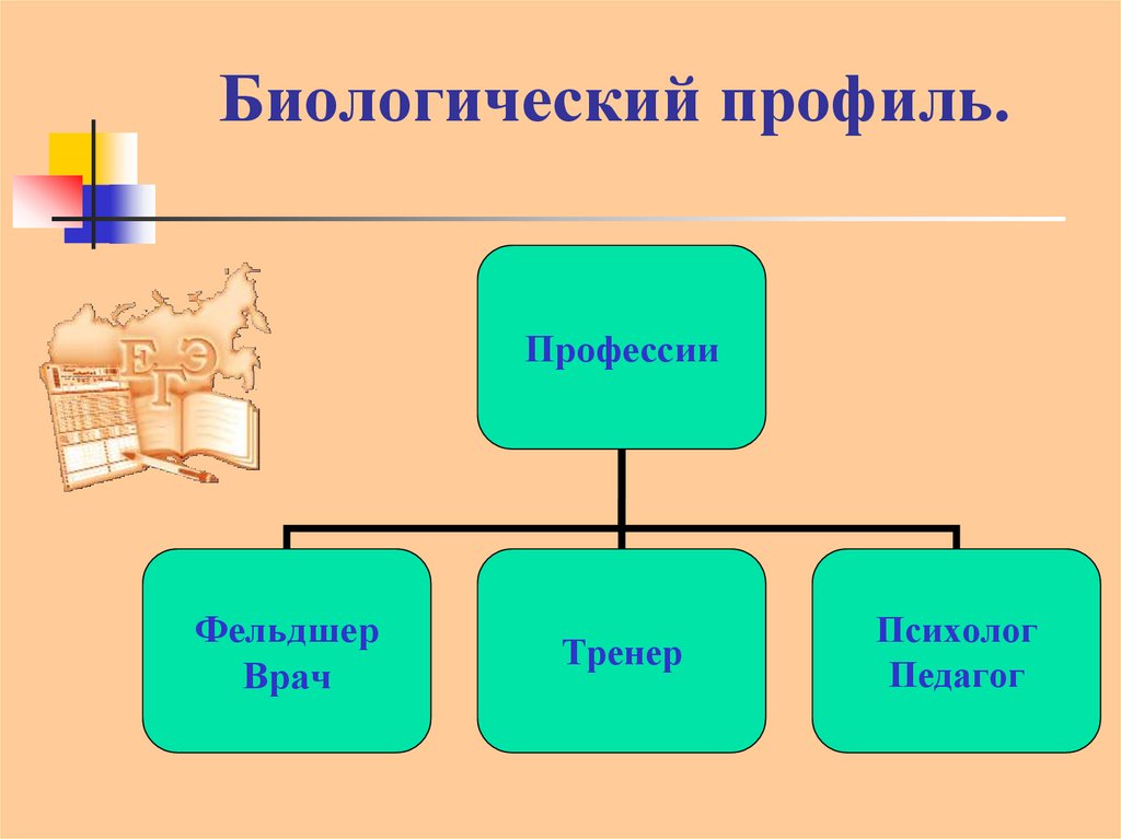 Профиль профессии