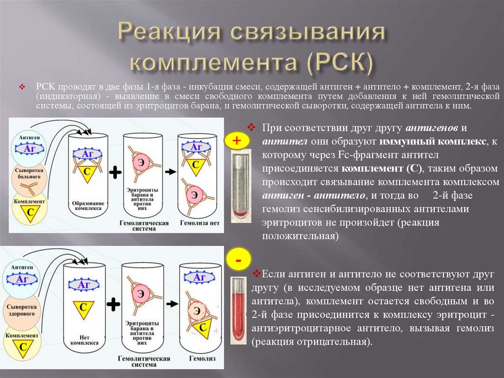 Схема постановки реакции связывания комплемента