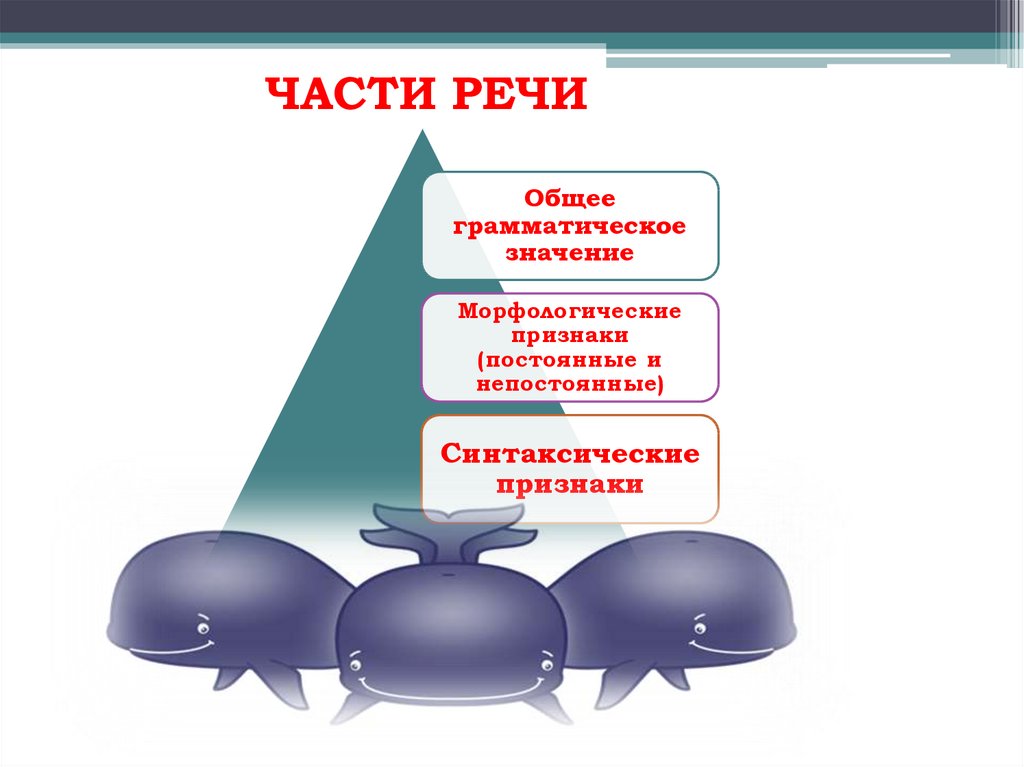 Конспект на тему морфология