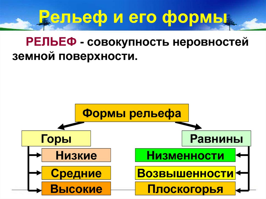 Особенности рельефа общий характер поверхности основные формы