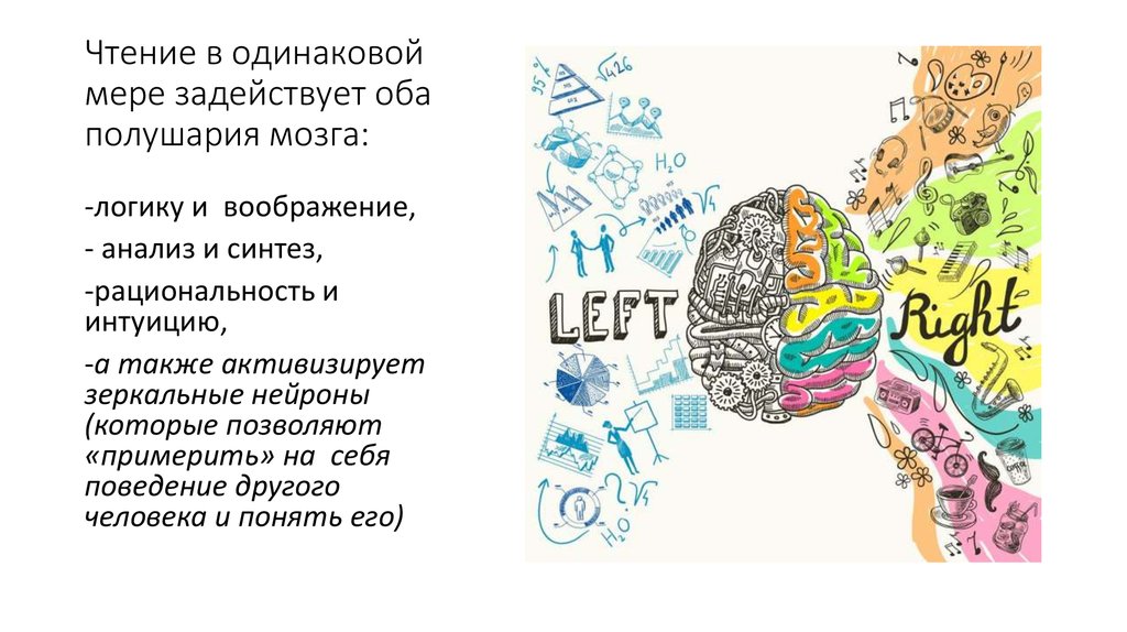 Левое и правое полушарие мозга. Рахвитытлба полушария мозга. Определение полушария мозга