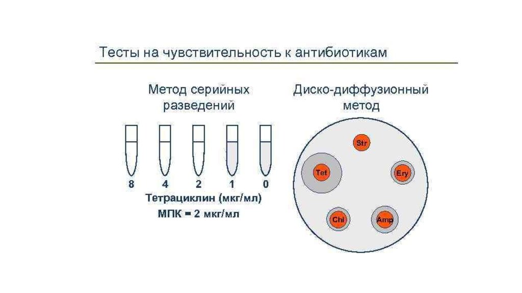 Определение чувствительности к антибиотикам. Чувствительность к антибиотикам диско-диффузионным методом. Чувствительность бактерий методом серийных разведений. Чувствительность микроорганизмов к антибиотикам метод дисков. Серийный метод определения чувствительности к антибиотикам.