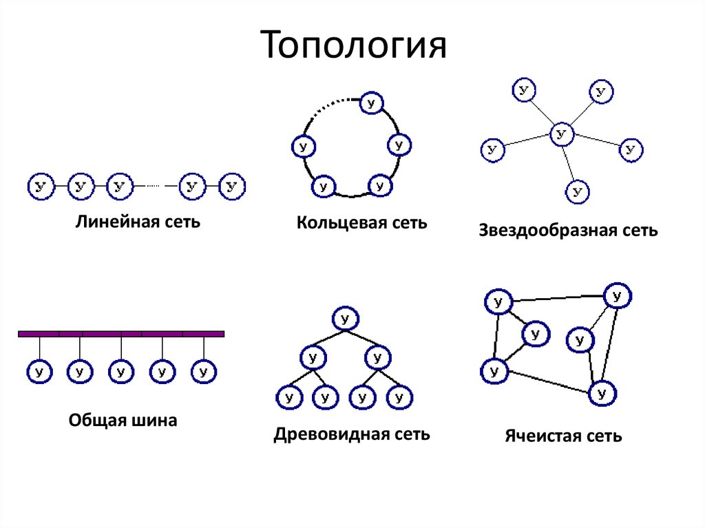 Топологии шина рисунок