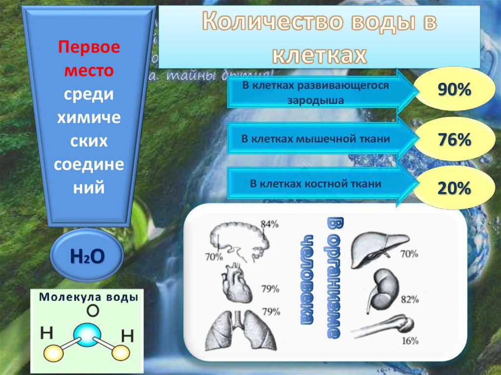 Количество вод 8