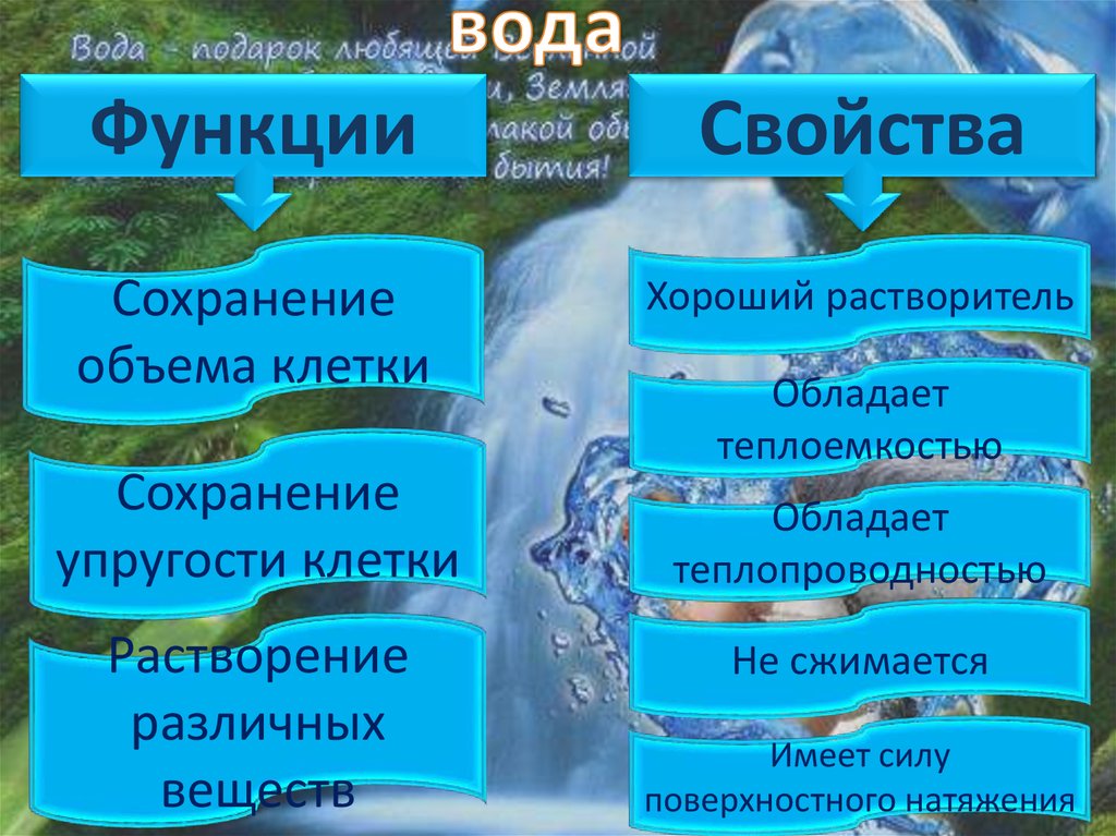 Количество функций воды