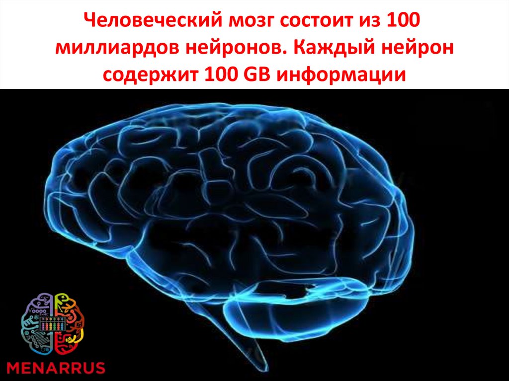 Из какого вещества состоят мозги. В мозге 100 млрд нейронов. Мозг состоит из миллиардов нейронов. Головной мозг состоит из стольких миллиардов нейронов. Из чего состоит Нейрон мозга человека.