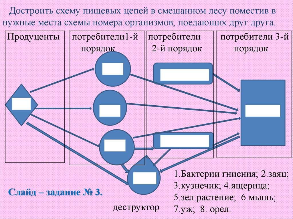 Лабораторная работа составление схем передачи веществ