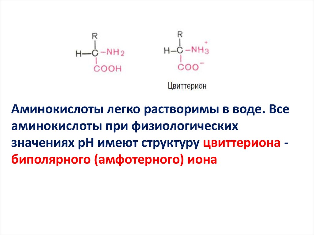 Почему аминокислоты амфотерные. Аминокислоты биохимия. Строение биполярного Иона аминокислот. Легко растворимые аминокислоты. Аминокислоты растворяются в воде.