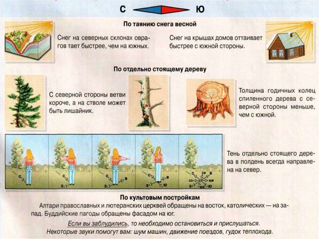 Презентация на тему правила ориентирования на местности