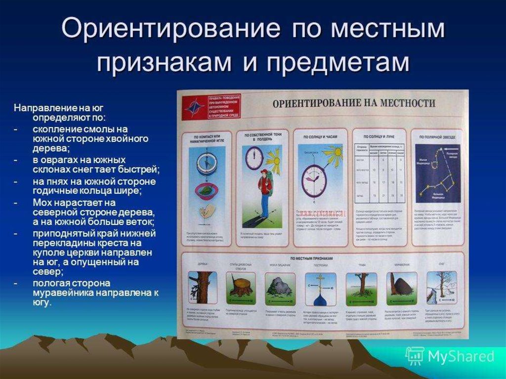 Ориентирование на местности по местным признакам презентация