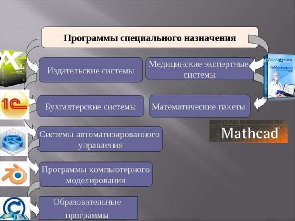 Разновидности программ. Программы специального назначения. Специальные прикладные программы. Приложения специального назначения. Специальное программное обеспечение.