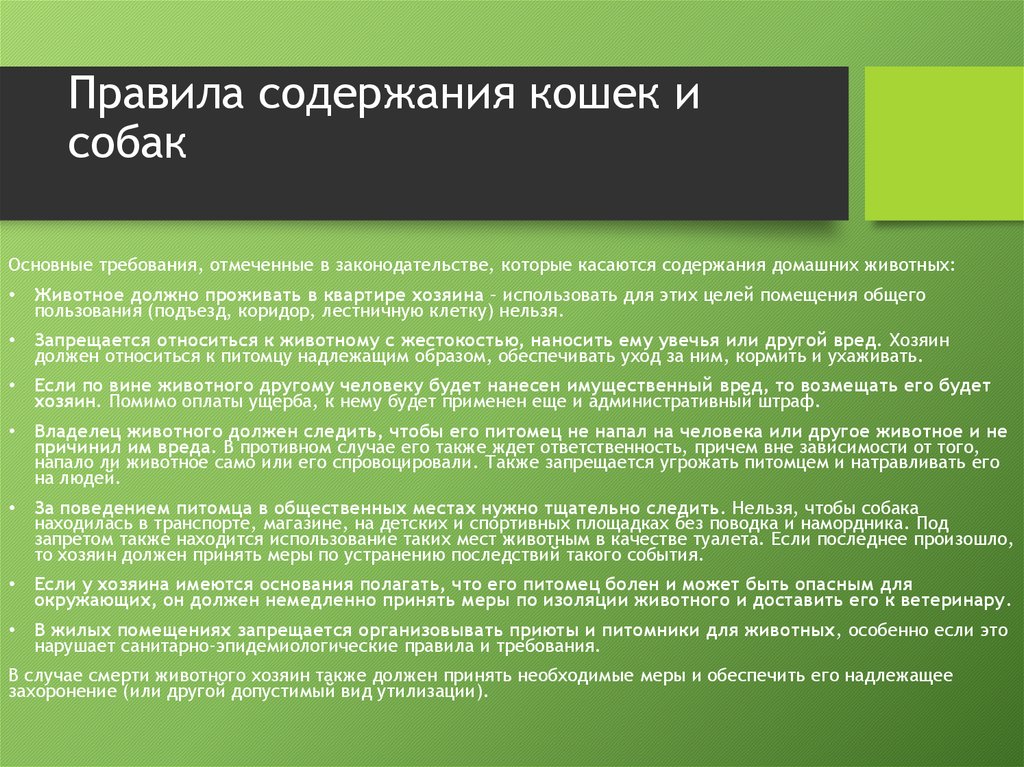 Правила содержания общего. Порядок содержания домашних животных в многоквартирных домах. Правила содержания животных. Правила содержания домашних животных в многоквартирных домах. Закон о содержании домашних животных в многоквартирном доме.