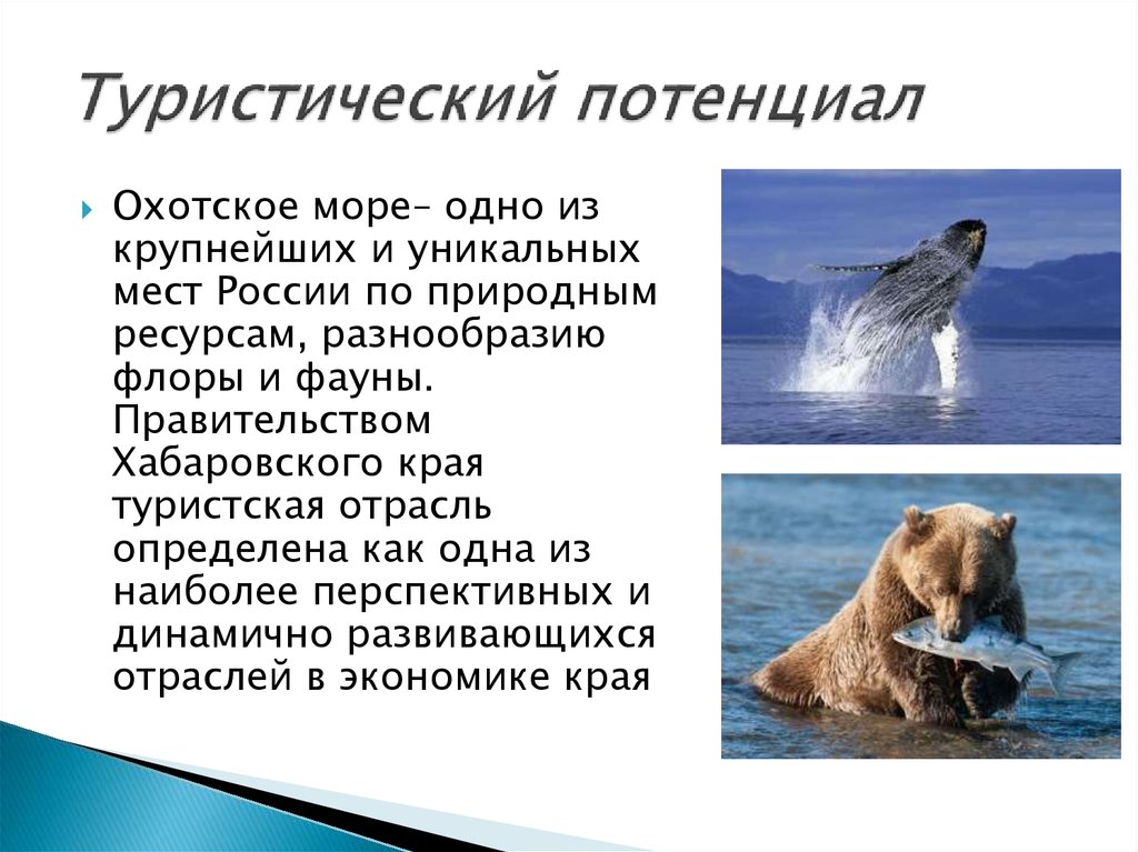 План охотского моря