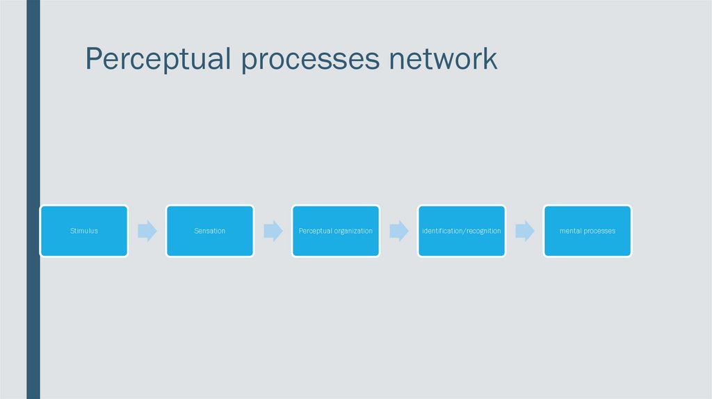 Perceptual processes network