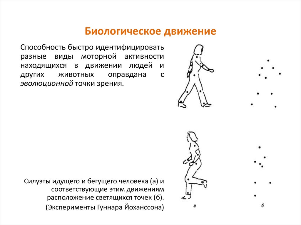 Биологические движения