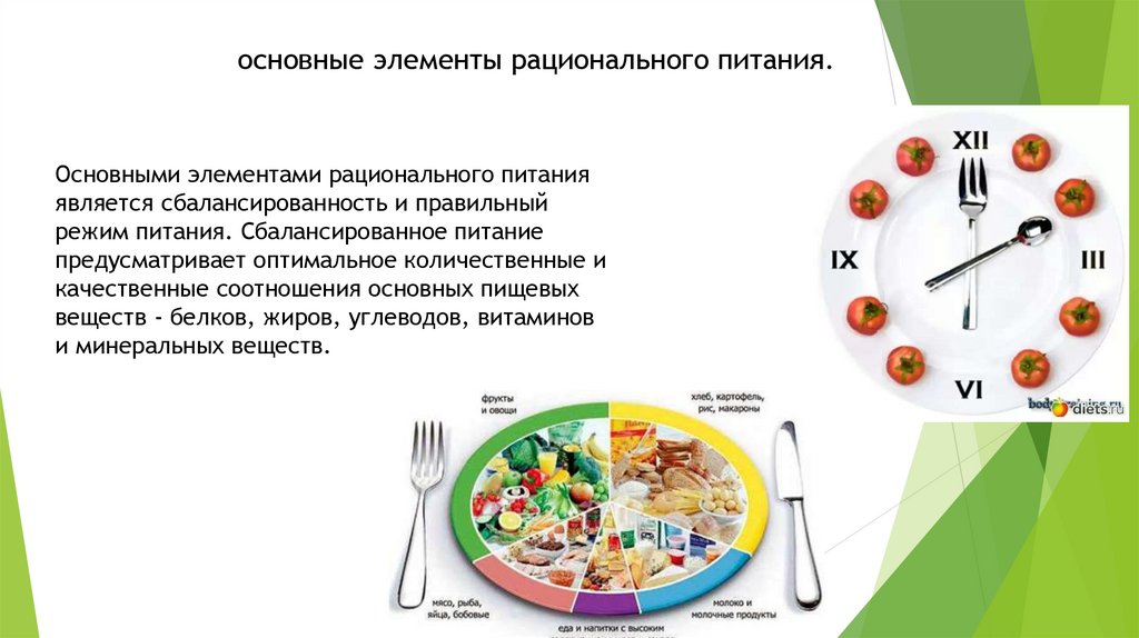 Режим питания 1. Основные элементы рационального питания. Правильный режим питания. Сбалансированное питание режим питания. Элементами рационального питания являются.