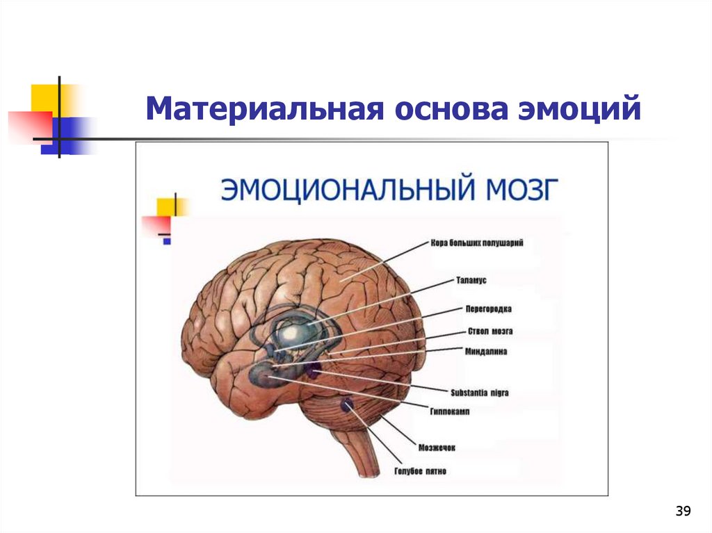 Психофизиология эмоций презентация