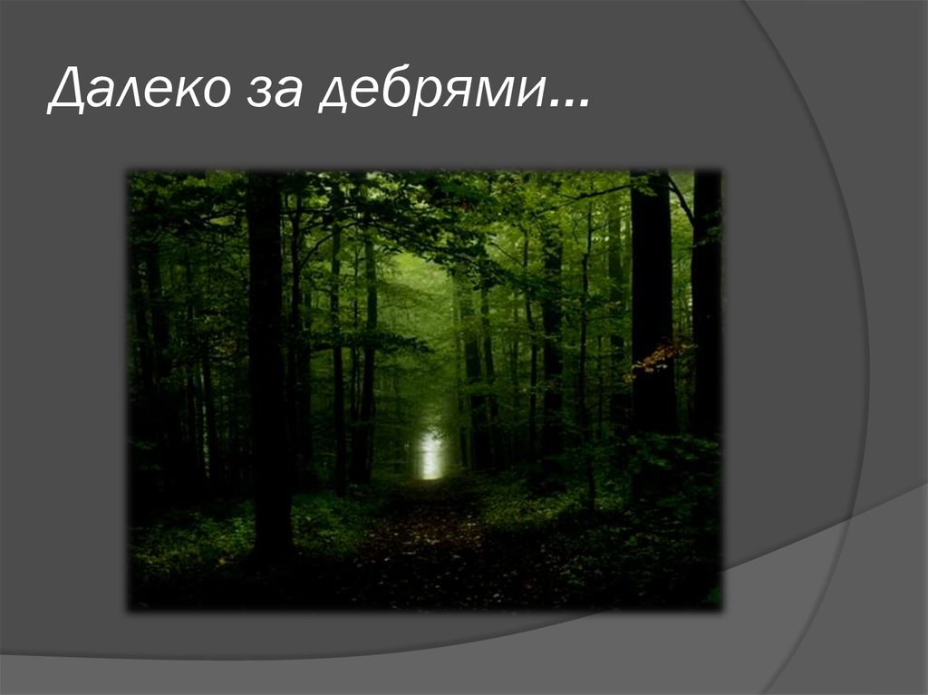Далеко за дебрями…