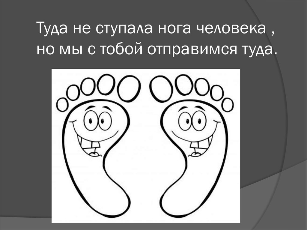 Туда не ступала нога человека , но мы с тобой отправимся туда.