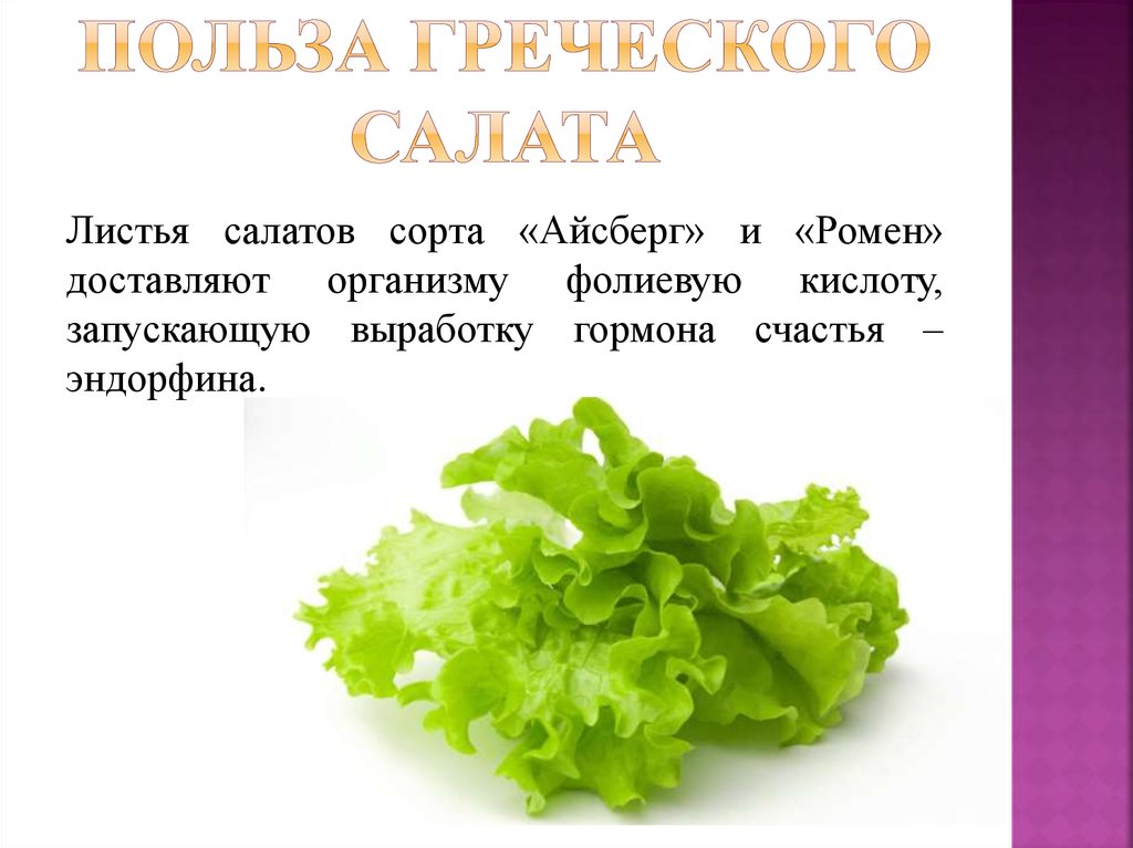 Салат какая почва. Салатный лист полезные. Чем полезен салат листовой. Чем полезны листья салата. Чем полезен салат листовой для организма человека.
