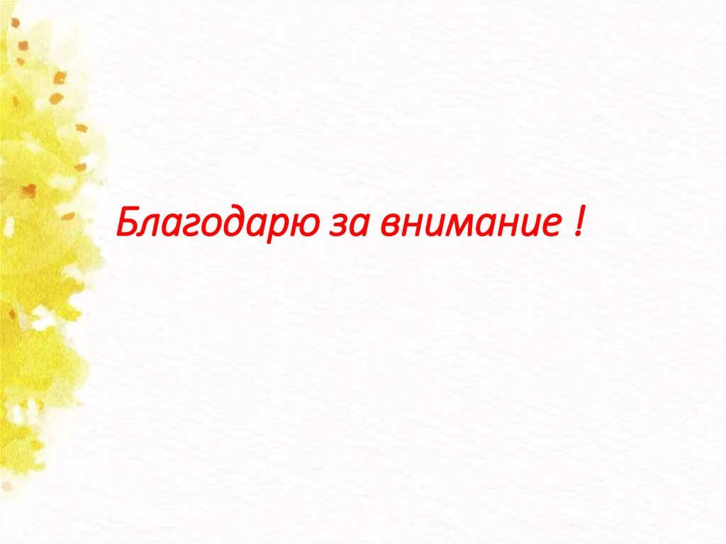 Благодарю за внимание !