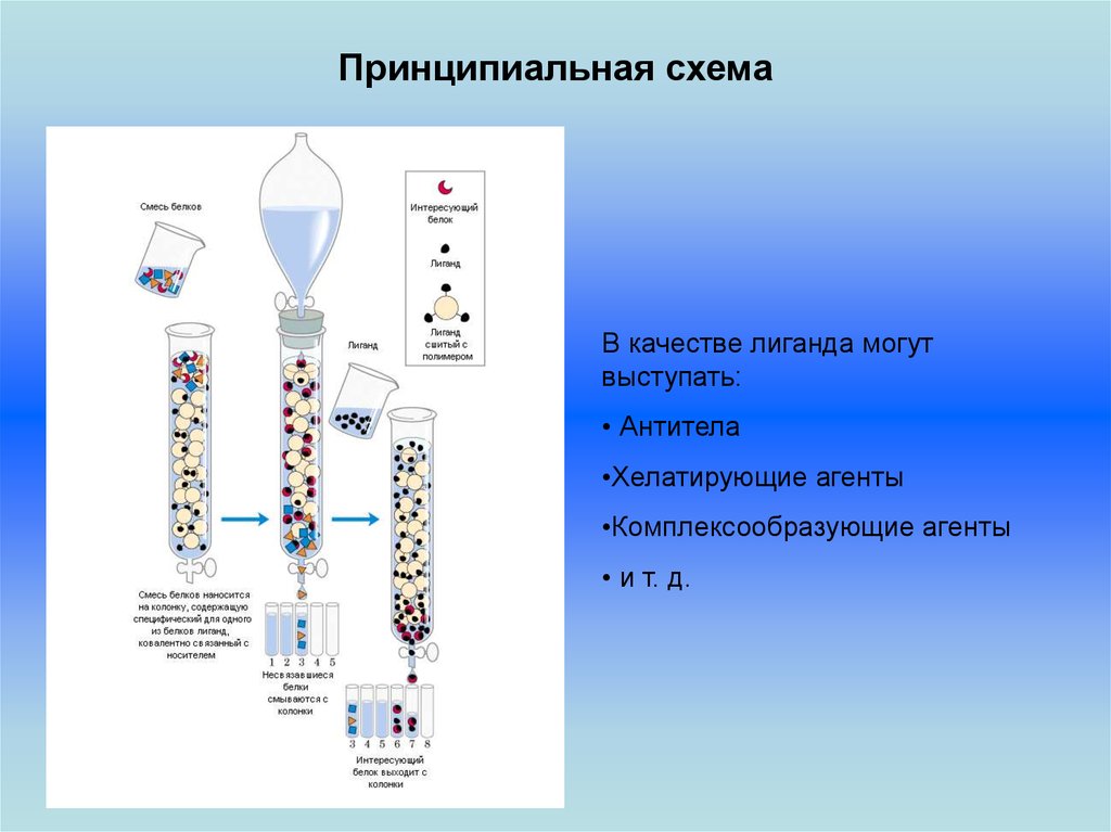 Бумажная хроматография презентация