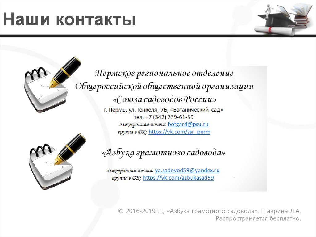 Наши контакты