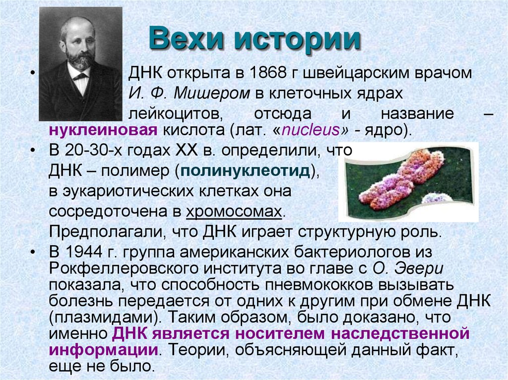 Носителем наследственной информации является. Фридрих Мишер открытие ДНК кратко. ДНК была открыта в 1868. Носителями наследственной информации являются. Носители генетической информации в клетке это.