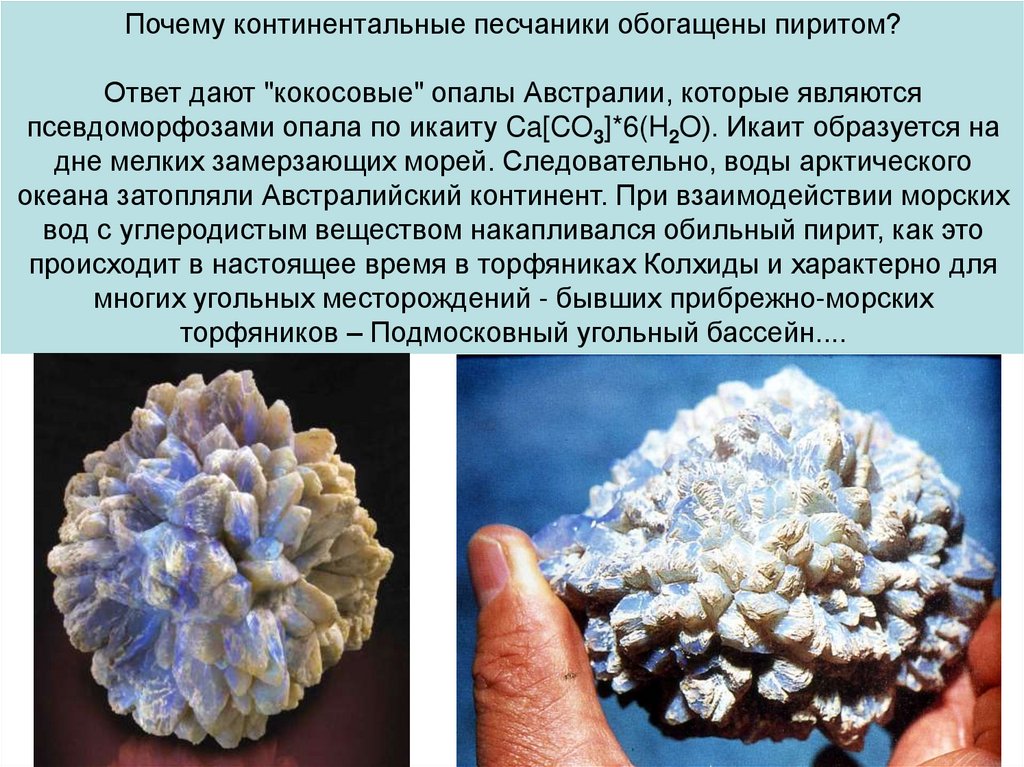 Почему в континентальных. Икаит минерал. Псевдоморфозы опала. Псевдоморфозы минералов по мертвым животным. Замещение пиритом органических остатков.