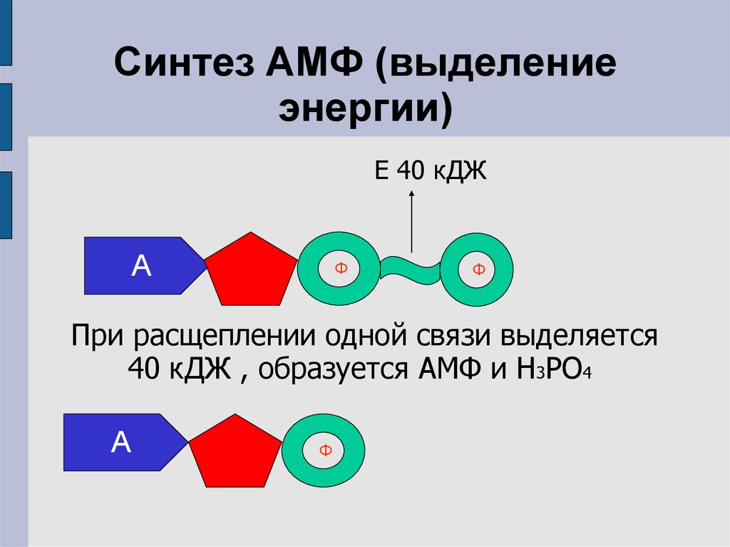 Сколько энергии выделяется при расщеплении