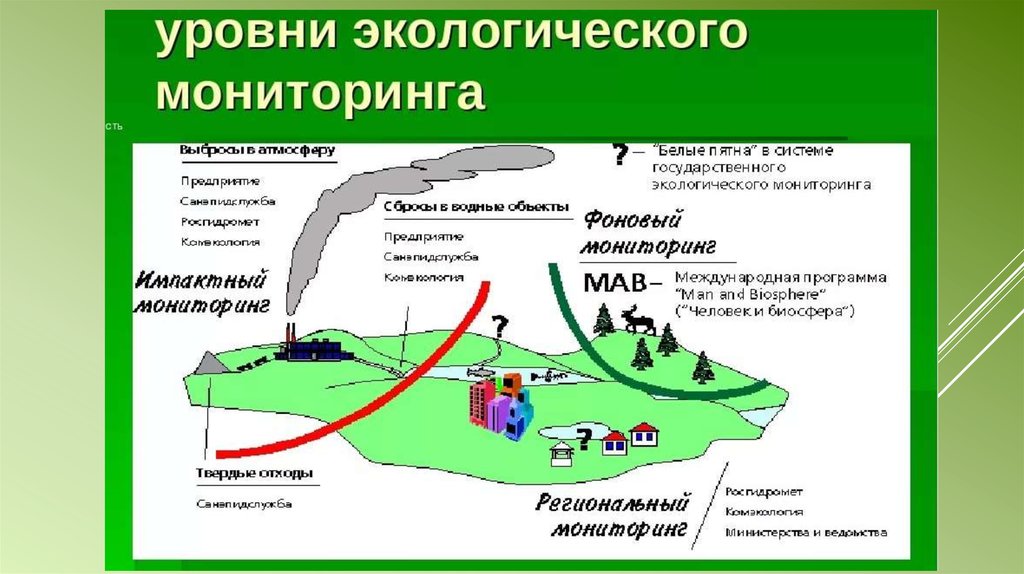 Мониторинг бывшей. Импактный экологический мониторинг это. Этапы проведения экологического мониторинга. Система экологического мониторинга окружающей среды. Уровни экологического мониторинга импактный.